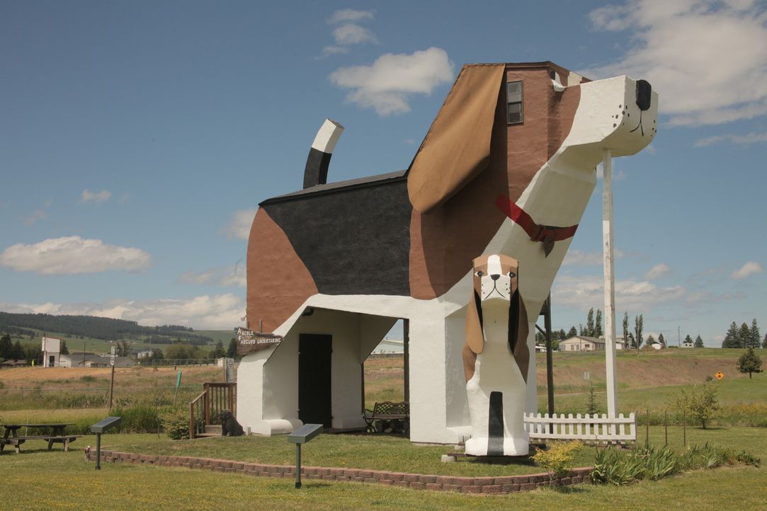 Die spektakulärsten Häuser der Welt SchiffsrumpfHaus