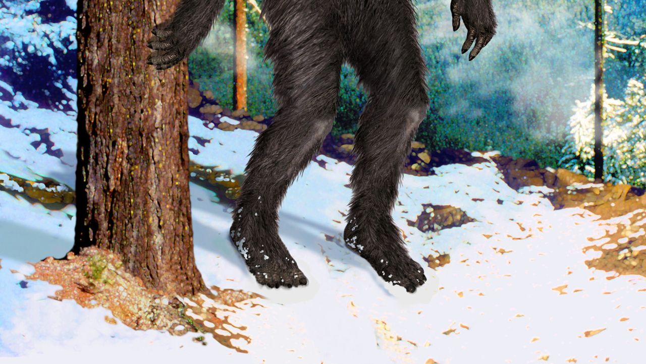 Unerklärliche Phänomene - Ancient Aliens - Mythos Bigfoot - kabel eins Doku